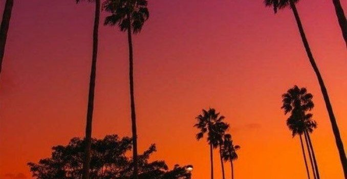 678x1202 Sunset iPhone wallpaper - Idea Wallpapers , iPhone Wallpapers,Color