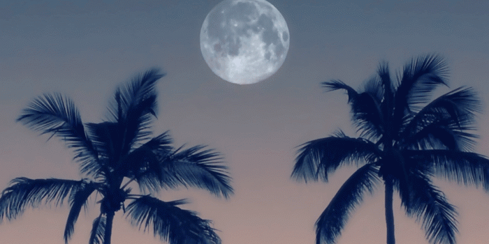 1170x2533 Beautiful iphone wallpaper 1 | Top Ideas To Try | Recipes