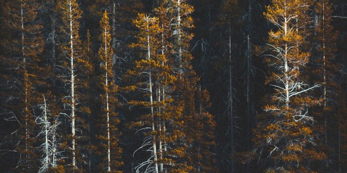 1242x2688 Top iPhone Wallpapers HD Download - 01