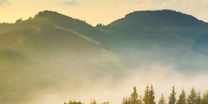 1125x2436 50+ Best iPhone X Wallpapers & Backgrounds