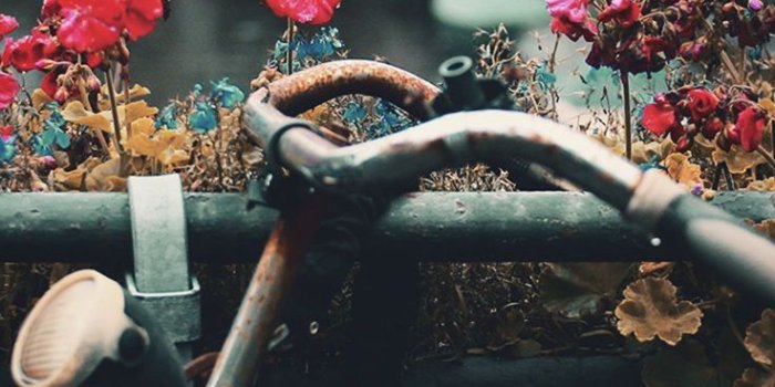 736x1308 19 iPhone Xs Wallpapers Of The Most Beautiful City: Amsterdam