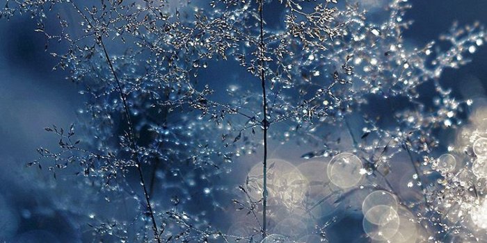 750x1334 PAPERS.co | iPhone wallpaper | nw53-snow-bokeh-light-beautiful