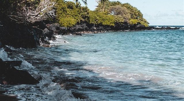 640x1385 Tropical afternoon in beautiful Maui Hawaii iPhone X Wallpapers Free