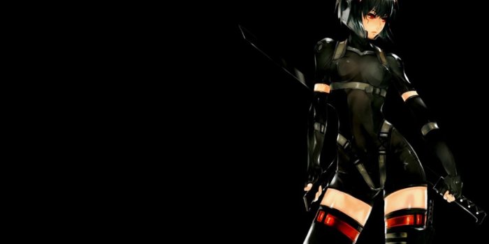 1280x800 Ninja Girl wallpaper | 1280x800 | #26160