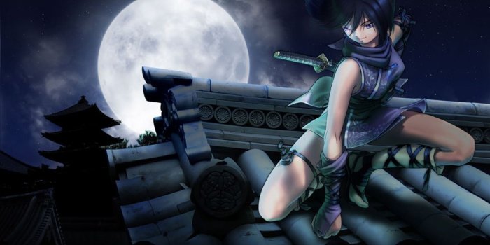 1024x768 Anime ninja girl wallpaper - lakehoustoncb