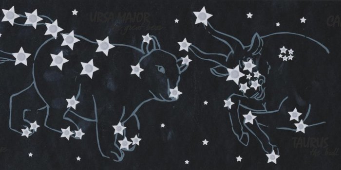 1000x1000 Night Sky with Marked Constellations Stars Black Prepasted Wallpaper Border