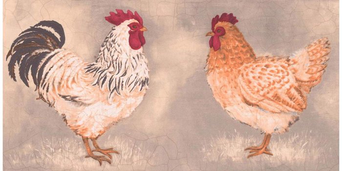 1490x1500 Prepasted Wallpaper Border - Beige Black White Rooster Hen Light