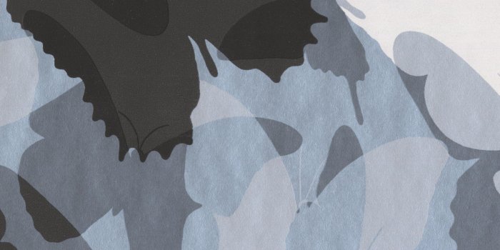 3245x2391 Black Grey White Abstract Butterflies Wallpaper Border for Kids, Roll 15' x  6''