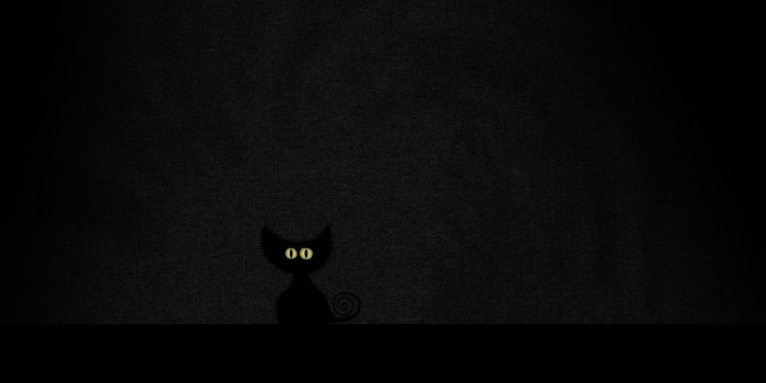 2560x1600 Pretty pictures: Black cat in a black room. – an exclusive wallpaper