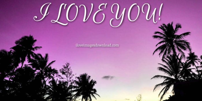 1024x768 I Love You: Images Photos Pictures and Wallpapers HD Free Download