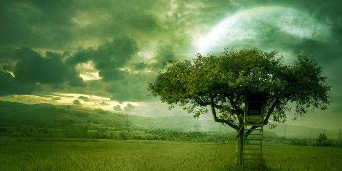 1280x800 Most Famous Wallpapers - Top Free Most Famous Backgrounds