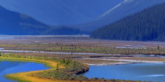 1080x1920 Famous Wallpaper (64+ images)