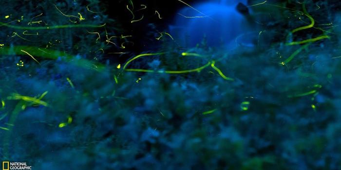 1600x900 18294 national geographic wallpaper hd