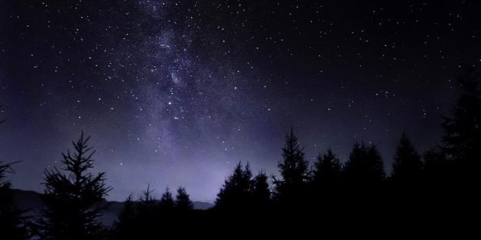 1000x1510 Most Famous Wallpapers (101+ images in Collection) Page 1