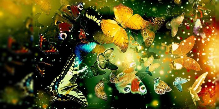 1600x900 60+ Most Popular HD Wallpapers - Download at WallpaperBro