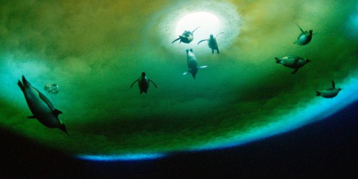 1600x1200 Photos+From+National+Geographic | Wallpaper: 100 Most Famous