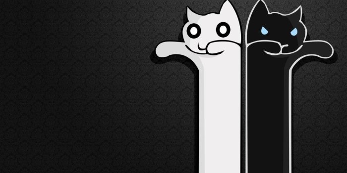 1440x900 Gamer Wallpapers Wallpaper Hd Pinterest Computer Cute Cat For