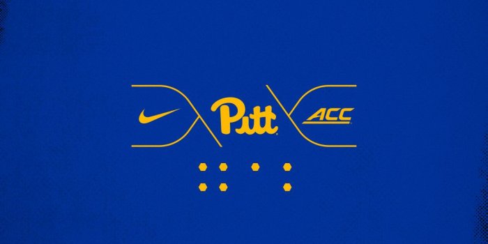 1080x1920 Wallpaper: Mobile and Desktop - Pitt Panthers #H2P