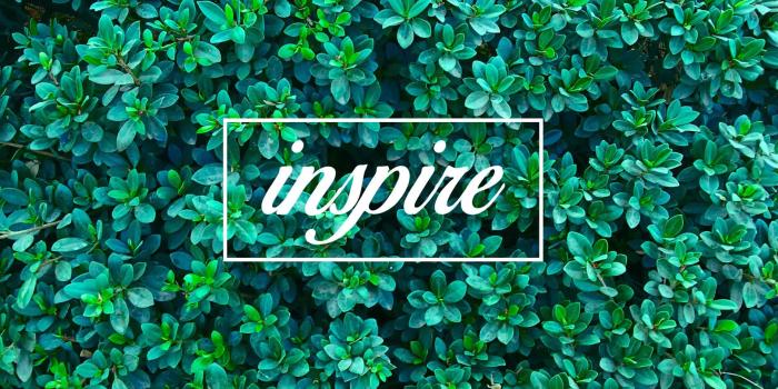 1920x1080 Ugly Photograph into Beautiful Wallpaper in Photoshop - PSDesire