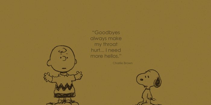 2560x1440 Awesome Pics | Charlie Brown High HD Quality (27+) Wallpapers