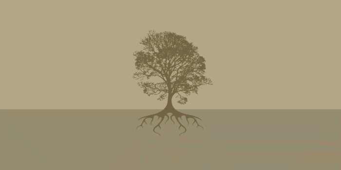 2560x1600 The Flat Brown Desktop