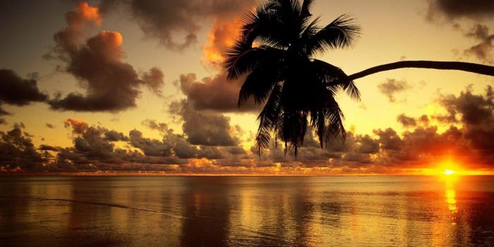 1920x1200 HD Computer Desktop Wallpapers (79+ images)