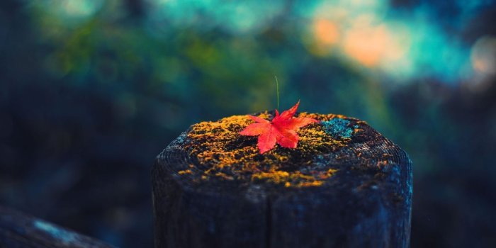 1440x810 Desktop Wallpaper HD - Mr Wall Papers