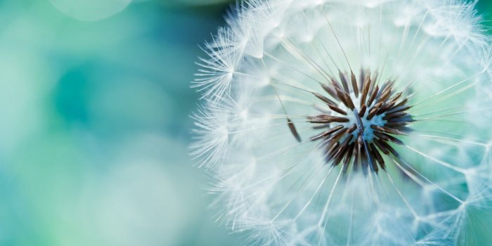 1600x1000 50+] Best HD Desktop Wallpapers on WallpaperSafari