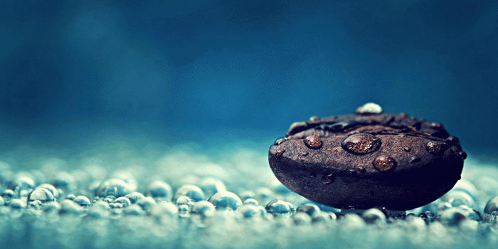 1920x1200 HD Desktop Wallpaper Free Download