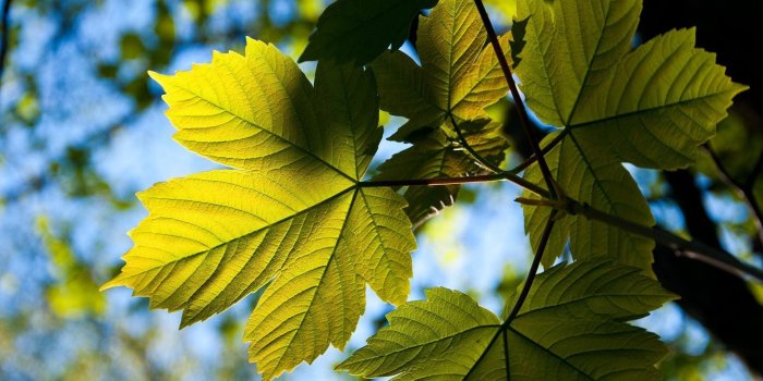 1920x1200 HD Desktop Wallpaper Widescreen 1920x1200