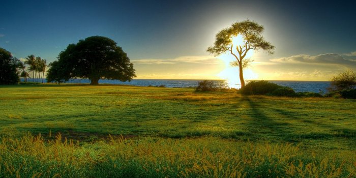 1920x1200 Beautiful spring desktop backgrounds wallpaper - Free HD Wallpapers