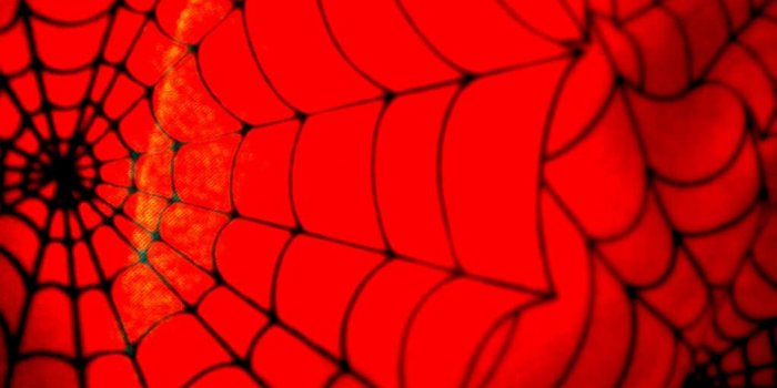 1024x768 Spider-Man Web Wallpapers - Top Free Spider-Man Web Backgrounds
