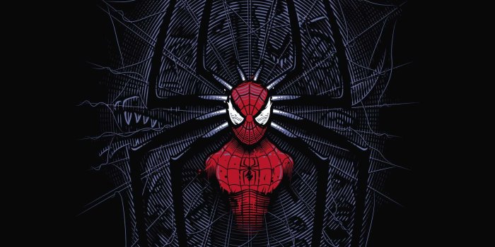 2160x3840 Spider man web iPhone Wallpaper | iPhone Wallpapers | Marvel