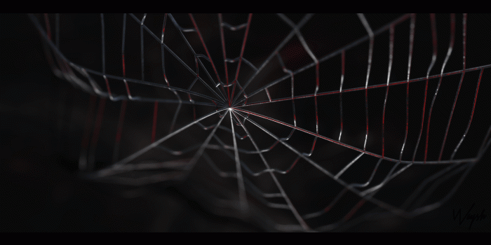 1920x1080 Spider-Man Web Wallpapers - Top Free Spider-Man Web Backgrounds