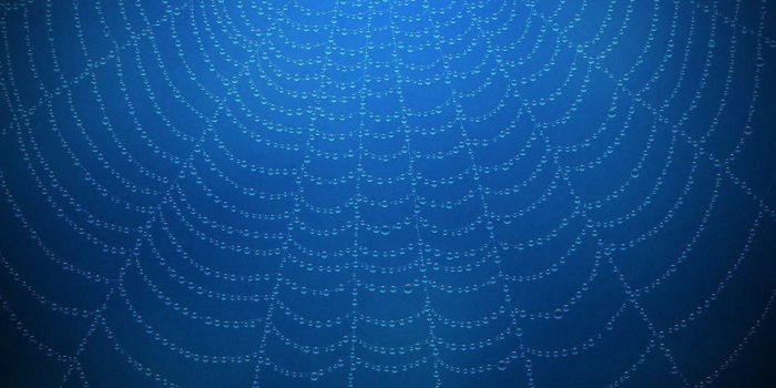 1280x800 Spider Web Backgrounds
