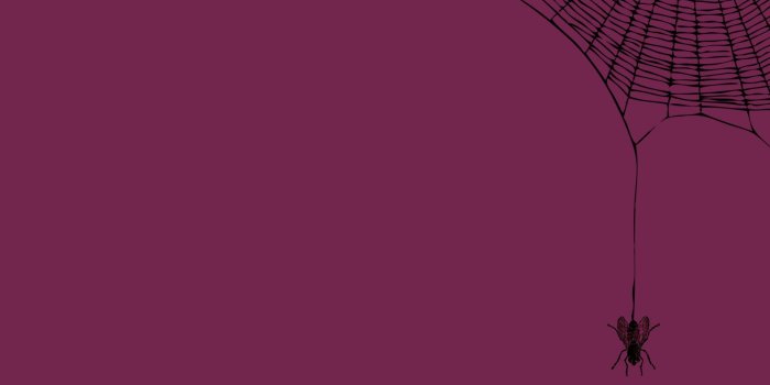 1920x1080 2977422 1920x1080 fly spider man web of shadows wallpaper and