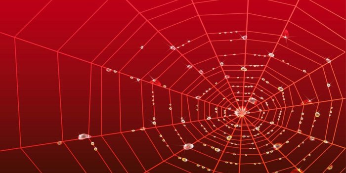 1024x768 Spiderman Web Wallpaper