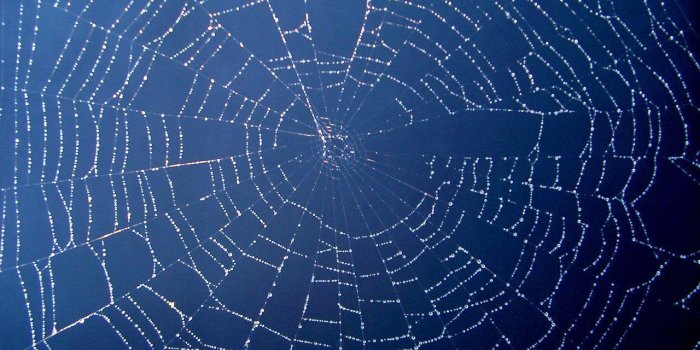 1280x960 Spider Web Backgrounds