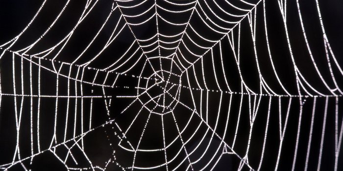 1999x1373 Spider Web Wallpapers Pack, by Naomi Mor, Friday 21st August 2015