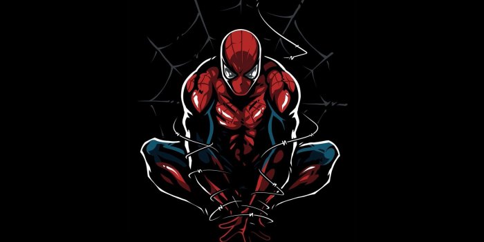 2248x2248 Download 2248x2248 wallpaper spider-man, web, minimal, ipad air