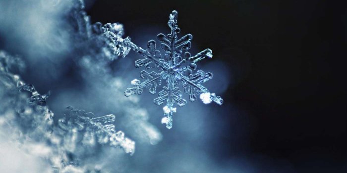 1399x873 Microsoft release 4 new Windows 10 Themes to the Store - MSPoweruser