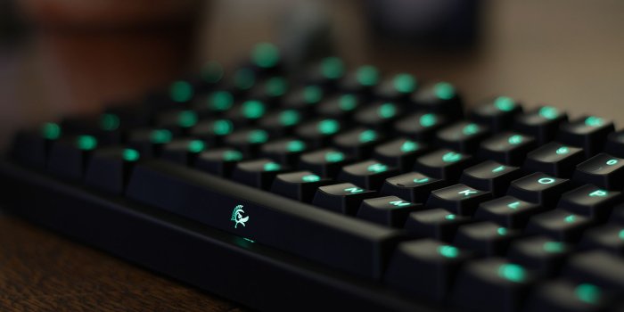 1920x1080 Ducky Official Website | Switch The World