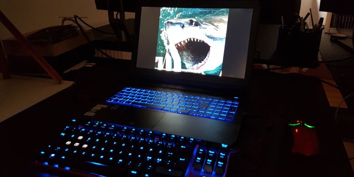 4032x3024 Kan en haj og noget fedt lys erstatte den stationære