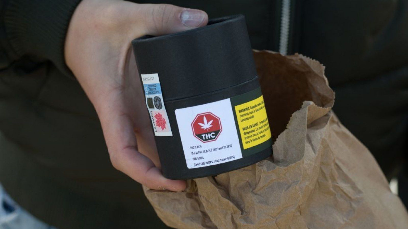 1600x900 Canada Needs Central American Migrants to Help It Grow Legal Weed