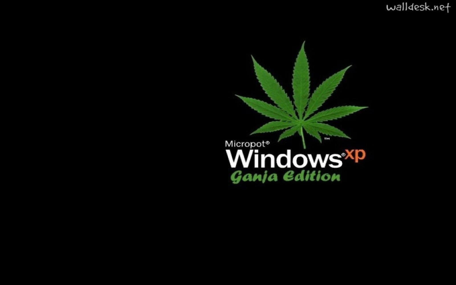 2880x1800 Best 45+ Ganja Backgrounds on HipWallpaper | Ganja Wallpaper, Ganja