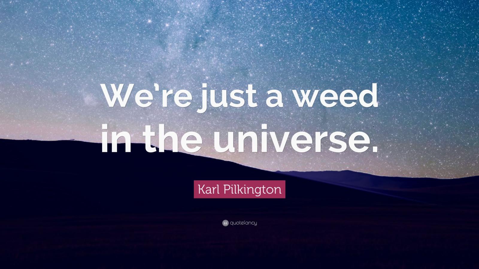 3840x2160 Karl Pilkington Quote: “We're just a weed in the universe.” (7