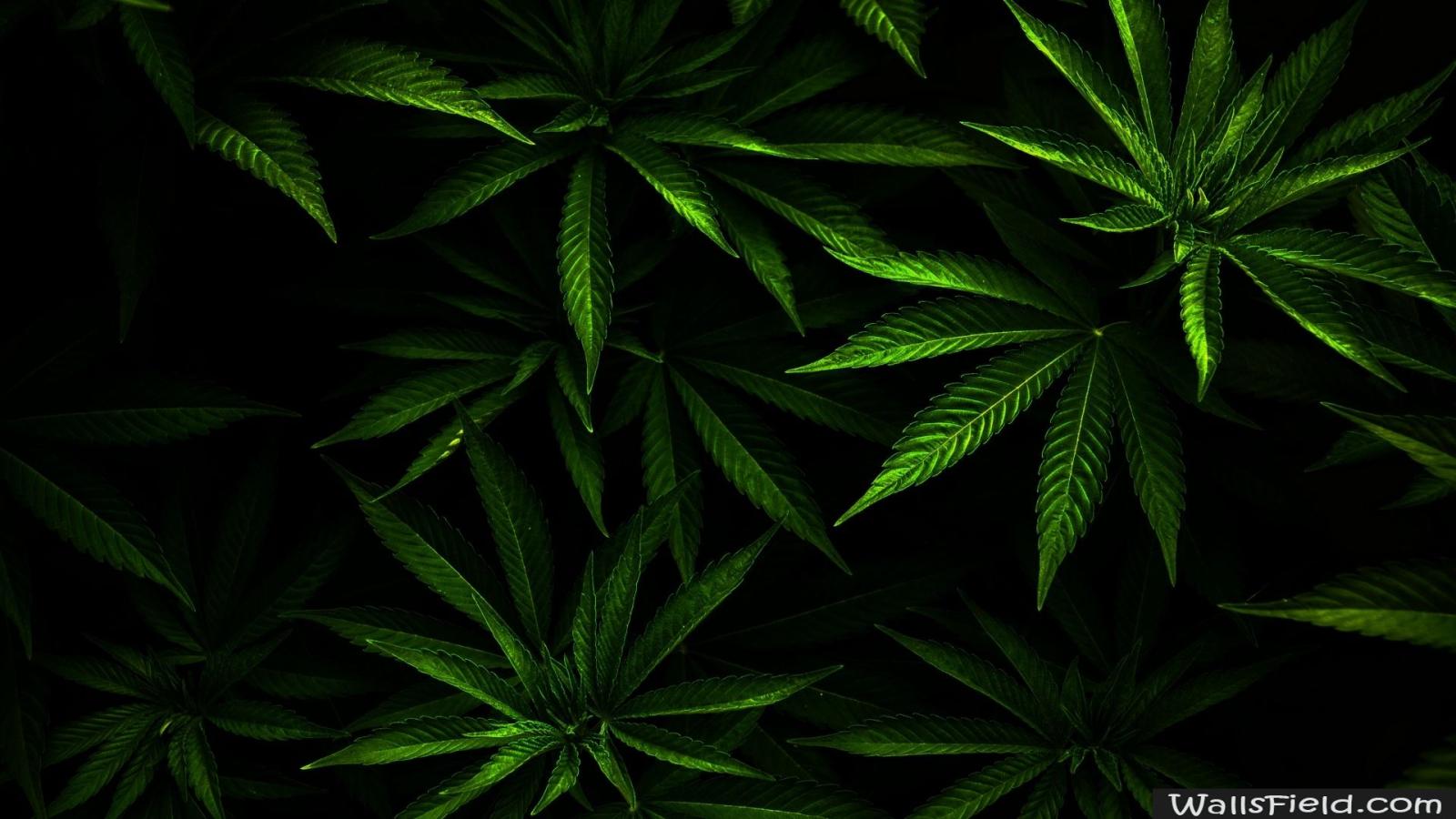 1920x1080 Weed - Wallsfield.com | Free HD Wallpapers