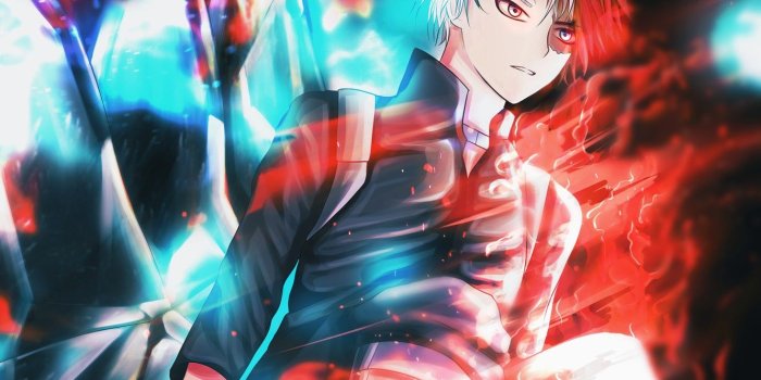 1332x850 Wallpaper anime, art, guy, Boku no Hero Academy, Shoto, My heroic