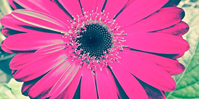 1500x2000 Edit. #wallpaper #iphone | iPhone 5 wallpapers | Iphone 5 wallpaper