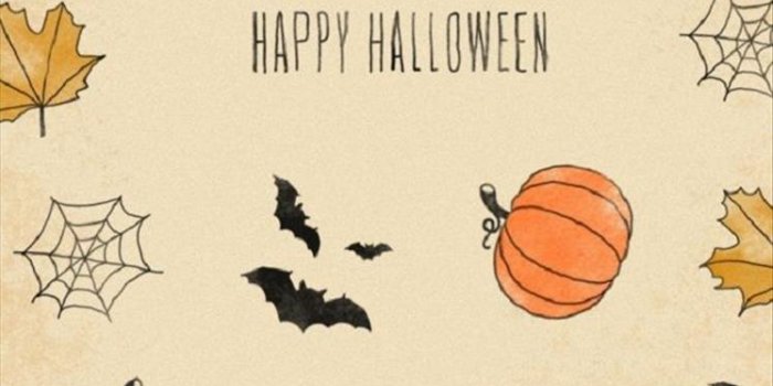 747x1121 New Cute Halloween Wallpapers Full Hd To Download Wallpaper